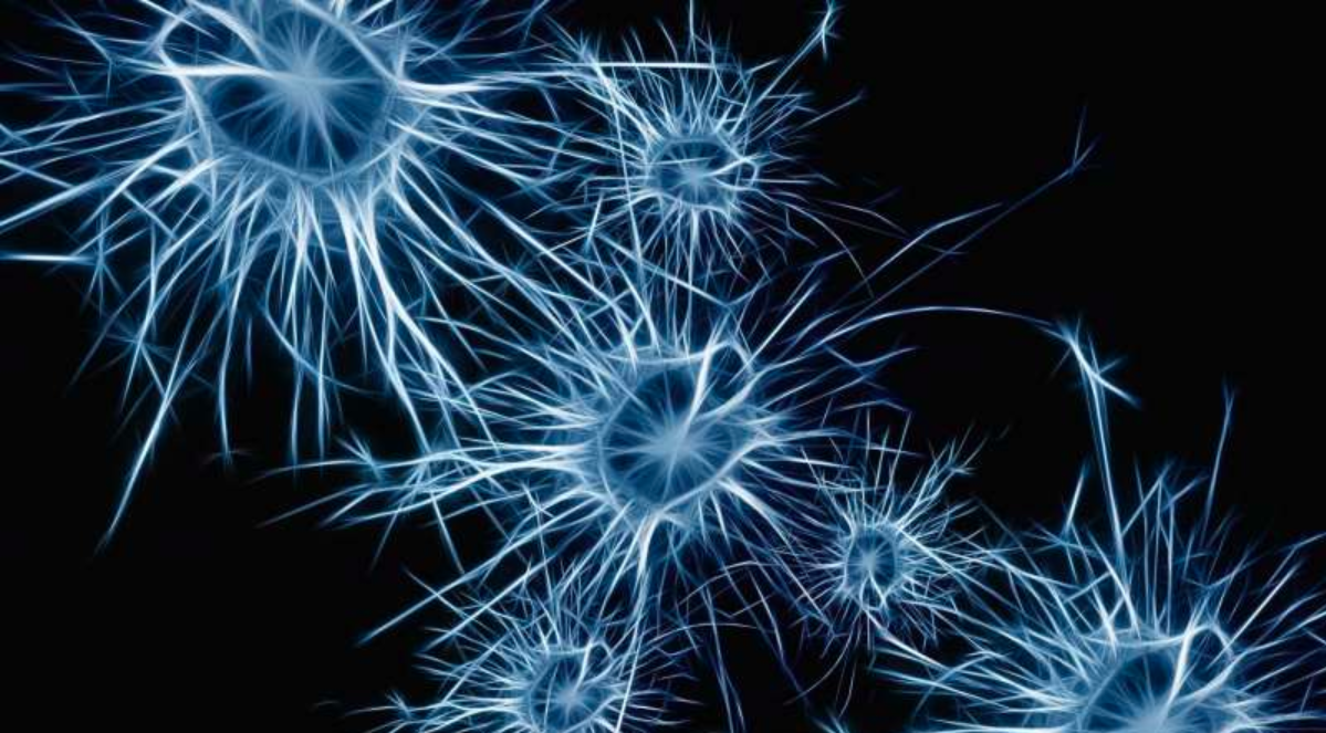Drug protects neurons in Parkinson’s disease