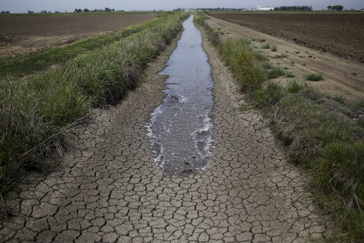 Drought increases CO2 concentration in the air