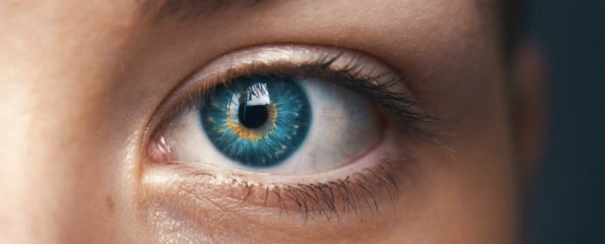 Scientists Have Detected an Entirely New Visual Phenomenon in The Human Eye