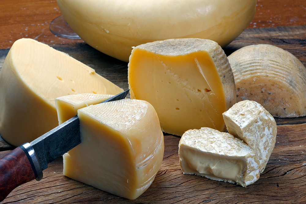 Cheese played a surprisingly important role in human evolution